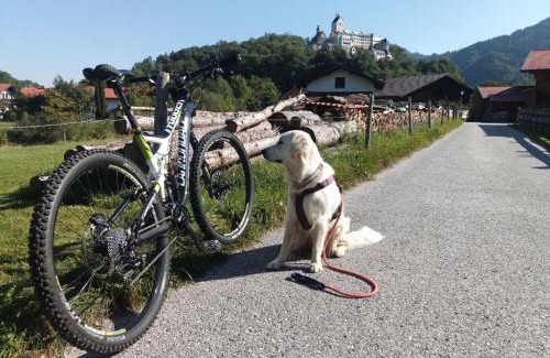 Aschau im Chiemgau Apartment | ciao-aschau FeWo Röder