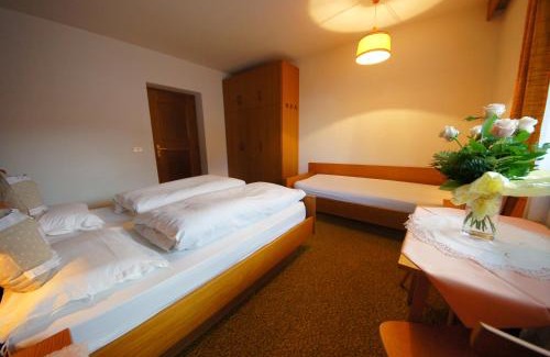 San Genesio Apartment | Ciasa Complojer