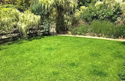 Sidmouth Cottage | Cider Cottage - UK50076