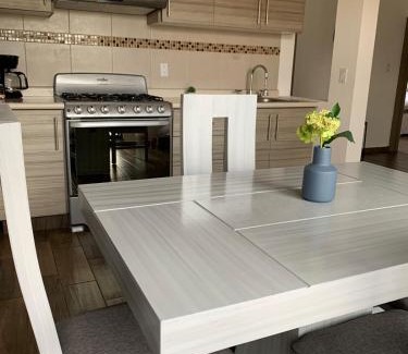 Zona Centro House | Cielito Home 4