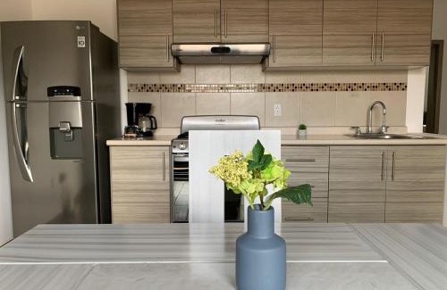 Zona Centro House | Cielito Home 4