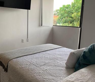 Zona Centro House | Cielito Home 4