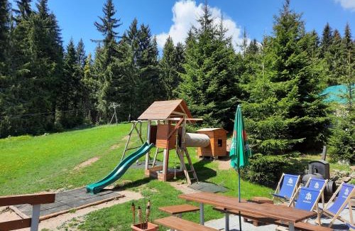 Cerny Dul Apartment | Cihlářka - Apartmán 309