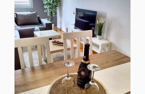 Pozarevac Apartment | Cista DESETKA