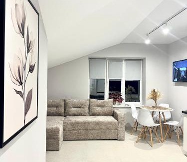 Kosuv Stary Apartment | City Apartments