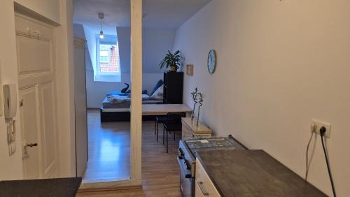 Kaiserslautern Apartment | City Central Apartment Richard