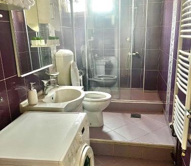 Krusevac Apartment | City Fontana