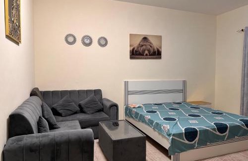 Ajman Apartment | City view furnished room