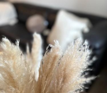 Bayreuth Apartment | CityAppartLuxe am Hofgarten - zwischen Uni und Stadt-Zentrum