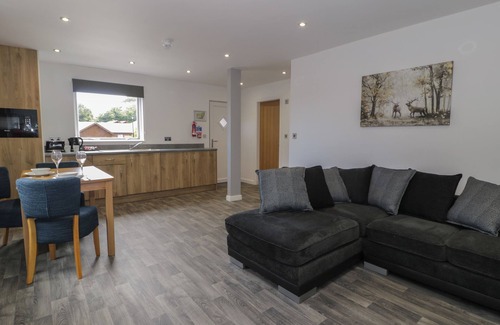 Dyserth Cottage | Classic Lodge 25