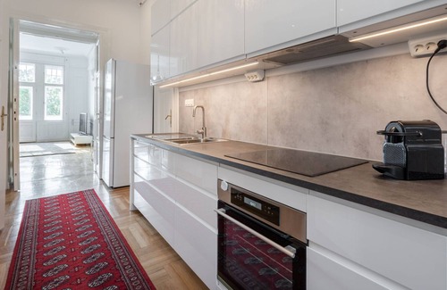 Nepszinhaz negyed Apartment | Classical apartment with a modern touch!