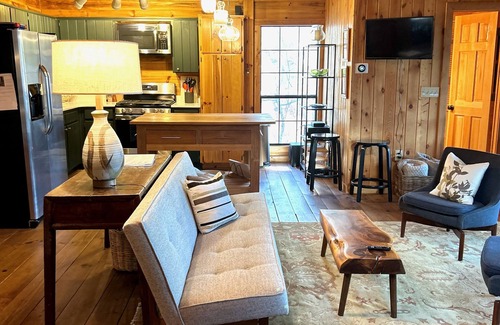 Blue Ridge Cabin | Classsic cozy mountain Cabin with dock right on Lake Blue Ridge