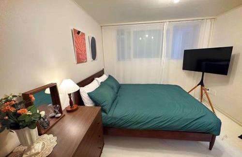 Songpa Villa | Clean & All new - Songridan-gil, Seokchon Lake, Lotte World, KSPO Dome, Olympic Park, Han River, Asan Hospital, Coex