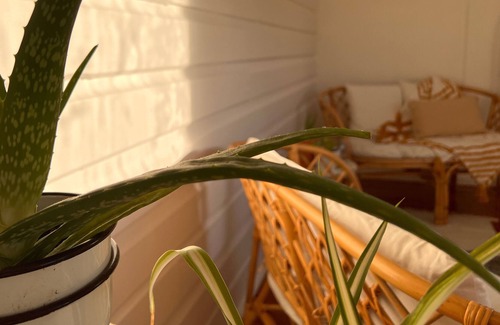 Central Mudgee Cottage | Clementine Mudgee Heritage cottage in central Mudgee