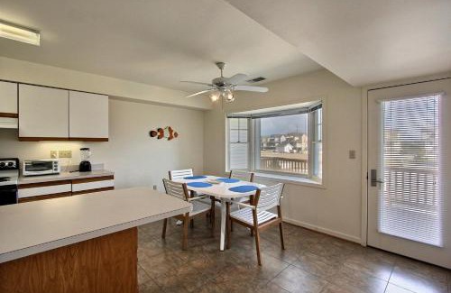 Buxton House | Clownfish & Cobia