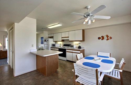 Buxton House | Clownfish & Cobia