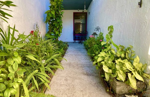 North Beach House | Coastal Garden Retreat: Close to beaches!