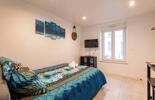Reims Apartment | Cocon Privé avec Jacuzzi & Sauna