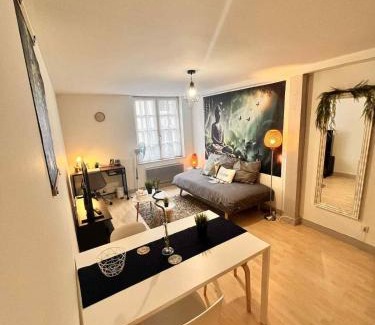 Quartier Vieux Marche-Cathedrale Apartment | Cocon Zen en plein Cœur historique de Rouen