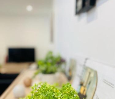 Cognac Apartment | "Cognac Gare" classé 3
