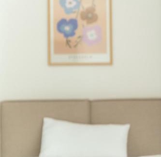 Willroth Apartment | Colakation