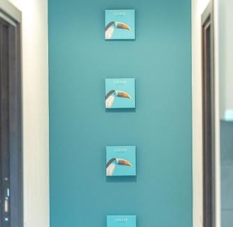 Willroth Apartment | Colakation
