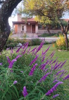 Merlo House | Colibríes en Las Moreras