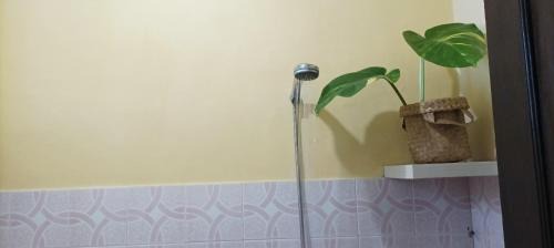 Delod Peken House | Coliving Bali SWEET HOME Kost Lengkap di Tabanan Kota
