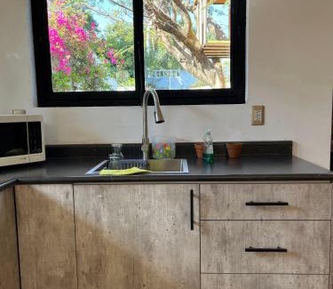 Cuernavaca House | CoLiving