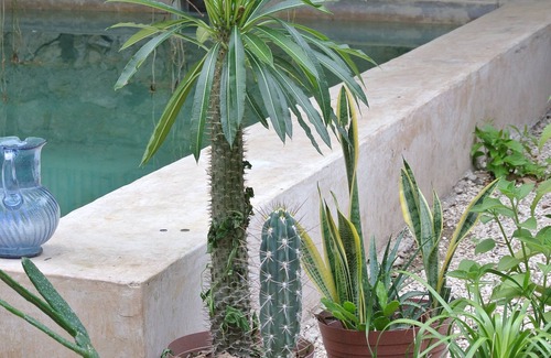 Barrio de Santiago House | Colonial with artistic touch house