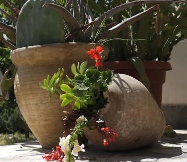 Vuno Apartment | Color Villa - South Paradise 4
