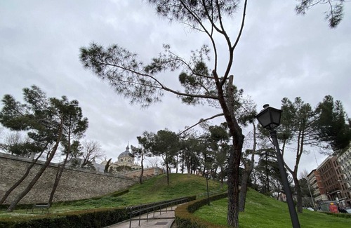 Imperial Apartment | Colorful Rio | 2 Bedroom Apartment in Madrid