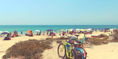 Casuzze Apartment | Colori a mare