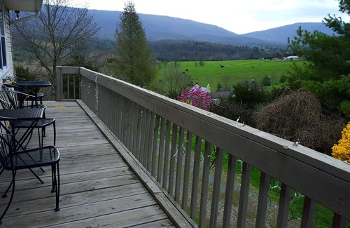 New Market House | Come view the foliage of the Shenandoah Valley. Mt. Views. Pool table, ping pong