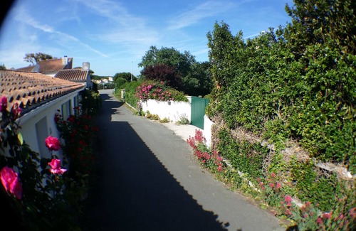 Saint-Clement-des-Baleines House | Comfortable villa, space, nature, fenced garden, 100m beach and village