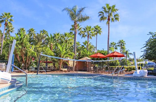 West Kissimmee Hotel | Comfort and Convenience! Full Kitchen, Swimming Pool, Free Shuttle!