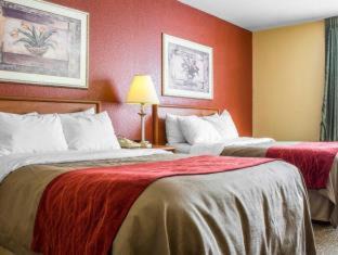 Green Valley Hotel | Comfort Inn Green Valley, Arizona