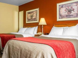 Green Valley Hotel | Comfort Inn Green Valley, Arizona