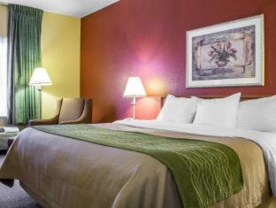 Green Valley Hotel | Comfort Inn Green Valley, Arizona
