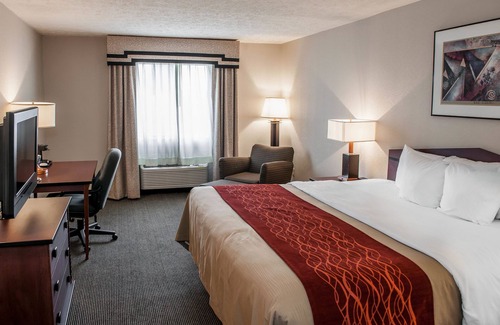Indianapolis Hotel | Comfort Inn Indianapolis South I-65