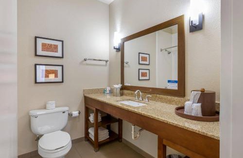 Downtown Memphis Hotel | Comfort Inn Memphis Downtown