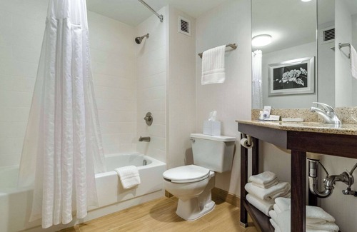 Raleigh Hotel | Comfort Inn Raleigh Midtown