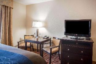 Gracewood Hotel | Comfort Inn & Suites Augusta Fort Eisenhower Area