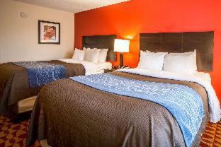 Gracewood Hotel | Comfort Inn & Suites Augusta Fort Eisenhower Area