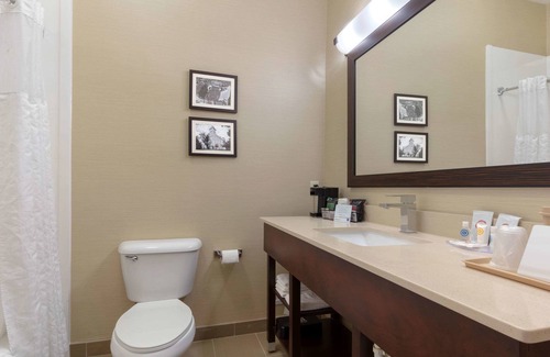 Fayetteville Hotel | Comfort Inn & Suites Fayetteville - University Area