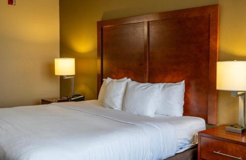 Lakeland Hotel | Comfort Inn & Suites Lakeland North I-4