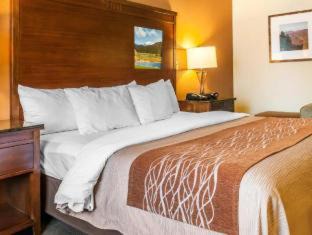 Ruidoso Hotel | Comfort Inn & Suites Midtown