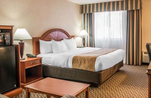 O'Hara Township Hotel | Comfort Inn & Suites Pittsburgh Fox Chapel