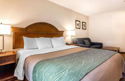 South Burlington Hotel | Comfort Inn & Suites South Burlington near University