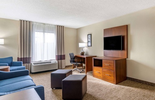 Clearwater Hotel | Comfort Inn & Suites St. Pete - Clearwater International Airport